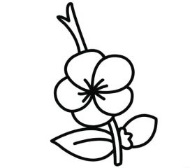 云顶4118app