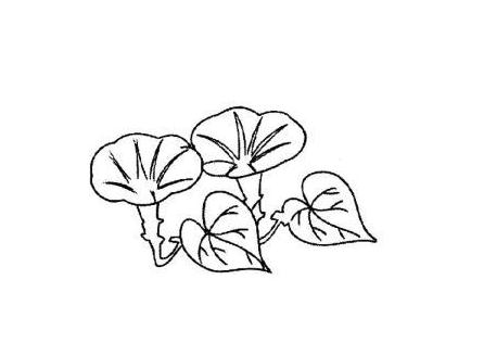 庞然巨物