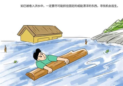 DG视讯app