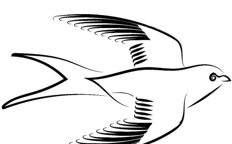 NBA买球APPappV5.2专业版