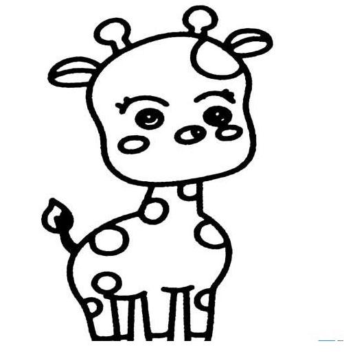 二十一点appV8.2专业版