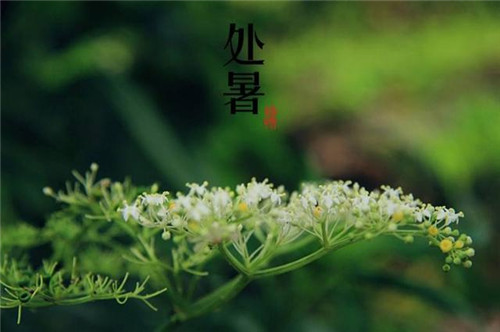 开博体育网站入口