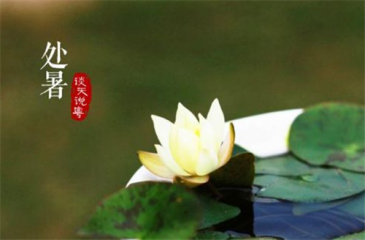 河南汽车维修平台APP