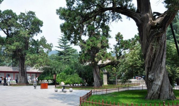 空岛城市(Idle Island)