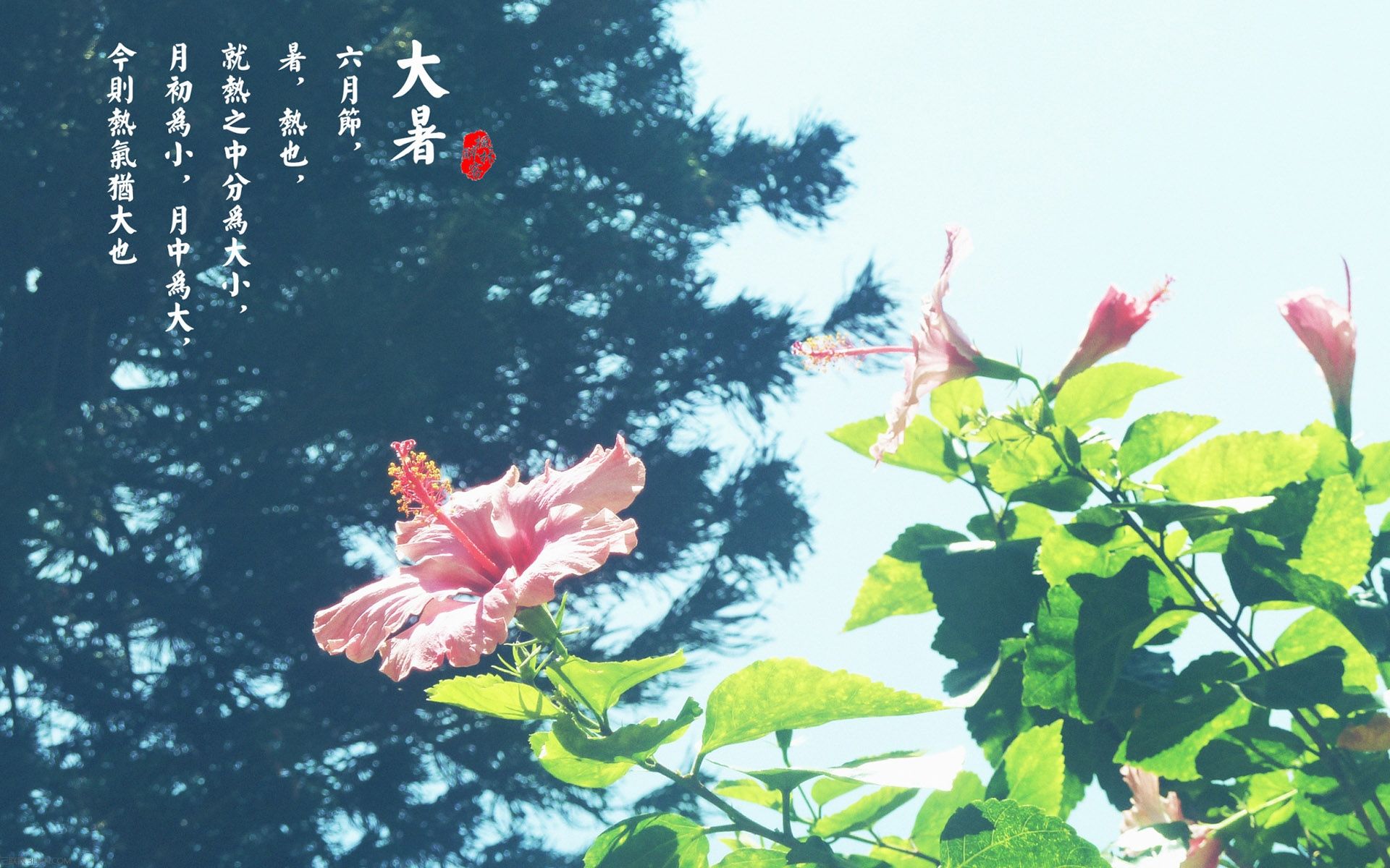 Blindwrite光盘刻录软件