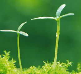 河南汽车维修平台APP