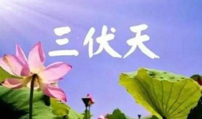 eman安卓版