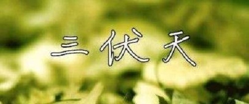 银河总站appV2.8专业版