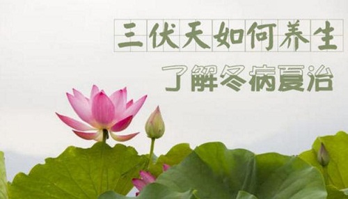 贵州药材APP
