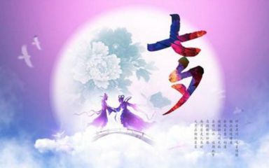 坦克大战共和国之辉多种坦克阵容展示