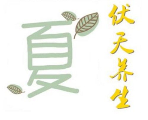 eman安卓版