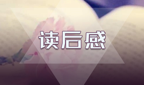 箱联管家官方版