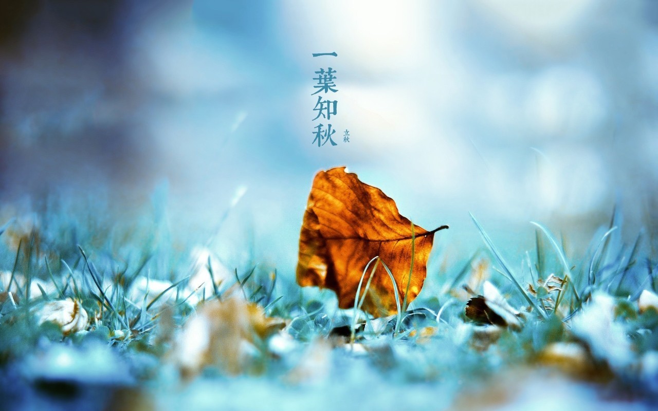 yl.betappV6.1专业版