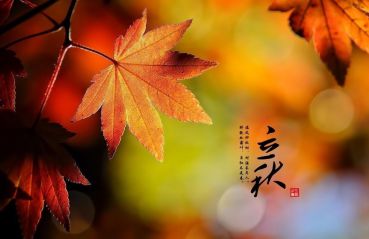 eman安卓版