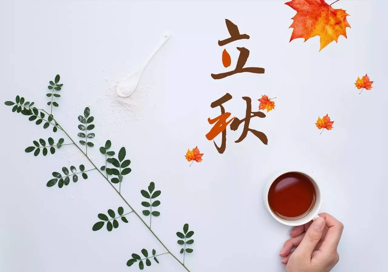 贵州药材APP