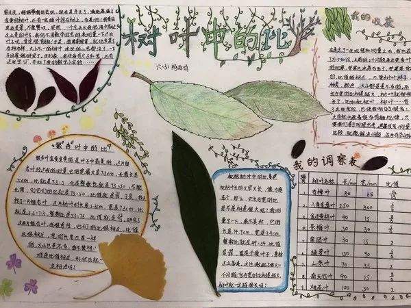 M4A音乐转换器(Bigasoft M4A Converter)