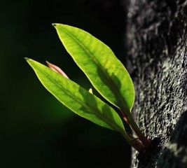 bwin体育登录