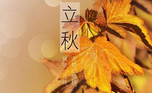 河南汽车维修平台APP