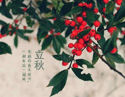 亚美am8appV5.4专业版