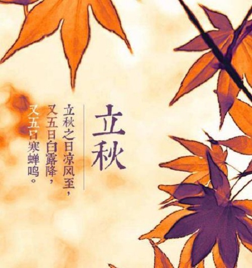 小熊洗车APP