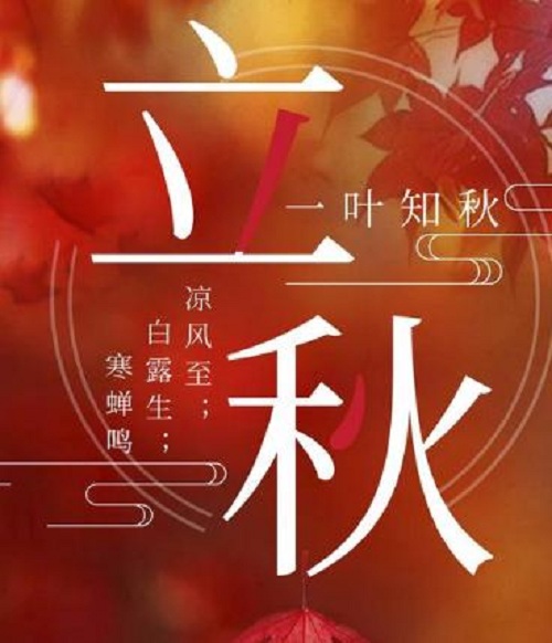 正规网上彩票APP平台app