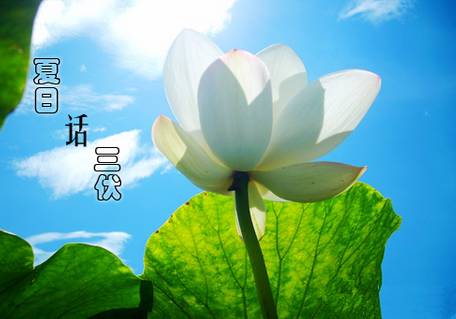 小熊洗车APP