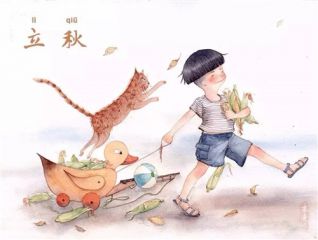 51菠菜网appV1.7专业版