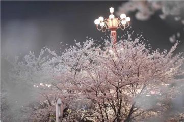 365游戏厅app2025最新版奇幻天空城场景