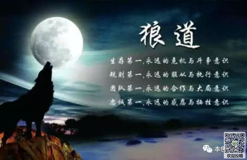 文通慧视文字识别软件