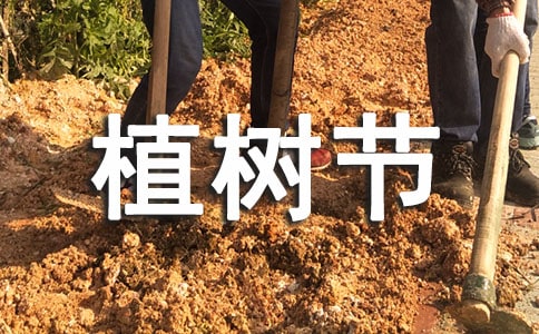 都秀视频聊天室