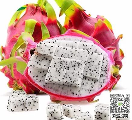 河南汽车维修平台APP