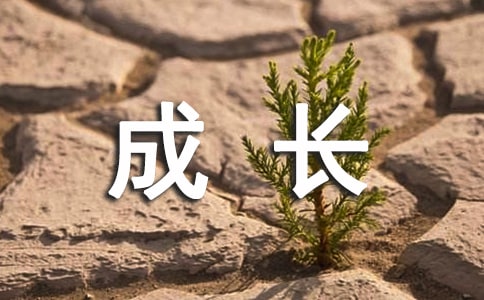 宝盈彩app安卓版二维码