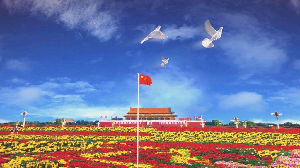 中国彩票网app安卓版二维码