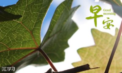 汇彩彩票app