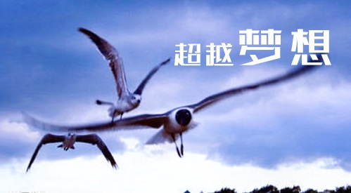 Simpo PDF to Text(pdf转txt转换器)