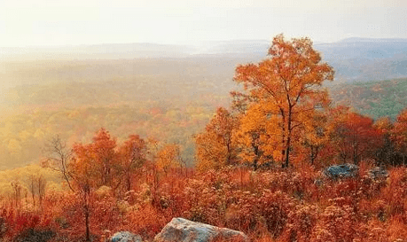 三星s5660手机驱动