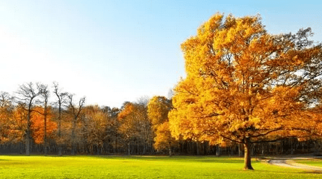 6686体育appV5.4专业版