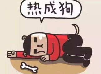 开云kaiyun官方在线登陆