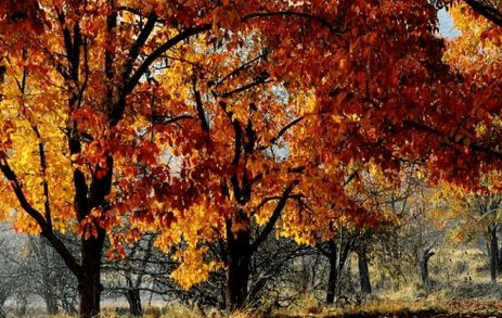 office 2013中文汉化语言包