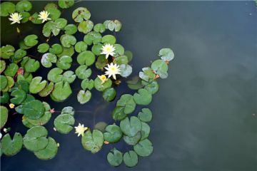 小熊洗车APP