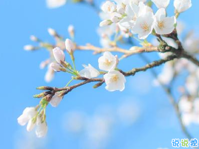大奖彩票app新版本时装外观展示