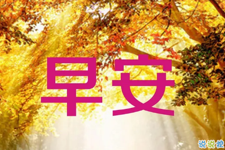 竞彩足球奖金计算器appV4.3专业版