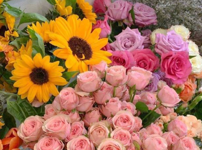 大亨互娱下载V8.2专业版