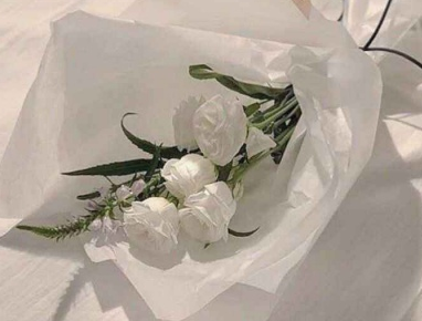 vip彩票appV3.5专业版