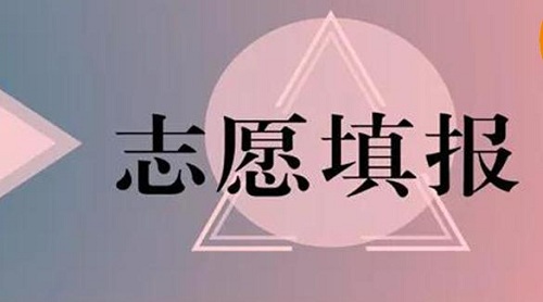 超能特战队手机版