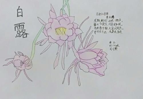贵州药材APP