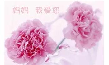 小熊洗车APP