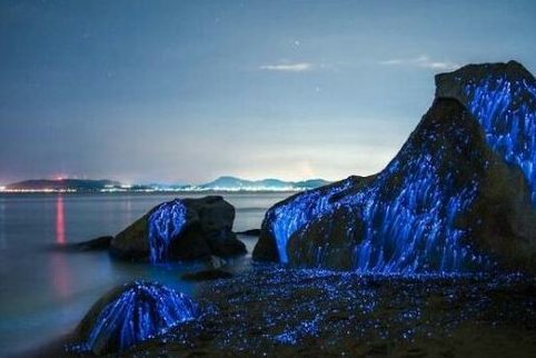 皇冠体育安卓V7.9专业版