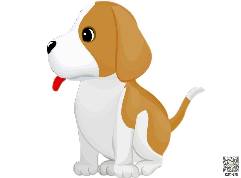 888appappV4.7专业版