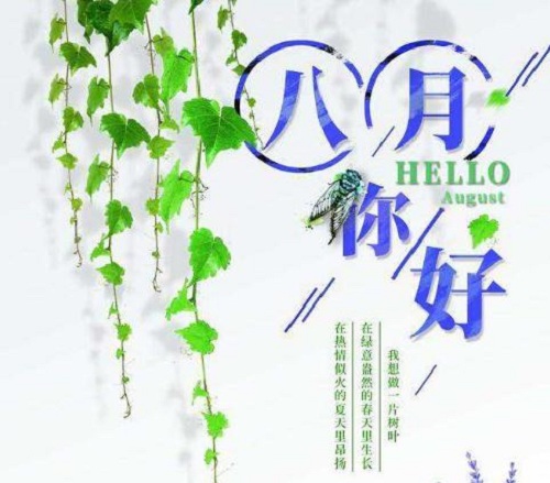 澳门金砂appV3.9专业版